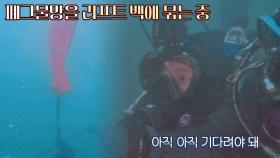 '바라던 바다'를 위해 온몸으로 노력하는 김고은ㅠ_ㅠ👍🏻 | JTBC 210706 방송