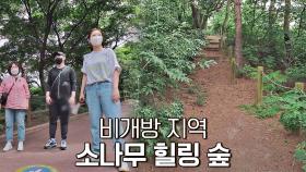 비밀의 소나무 숲으로 힐링하러 장윤정 입장(◞ꈍ∇ꈍ) | JTBC 210803 방송