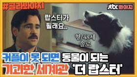 차인 것도 서러운데 동물이 될지도 모르는 잔혹 우화 ＜더 랍스터＞｜JTBC 200126 방송