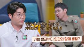 사람들의 궁금점@_@ 개는 언제부터 인간과 함게 생활했을까? | JTBC 210822 방송