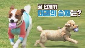 자존심이 걸린🔥 기복 vs 푸푸 공 던지기 대결 승자는?! | JTBC 210902 방송