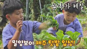 농사 체질👍 밀양에서 갈고닦은 농사 지식 발휘하는 하민이 | JTBC 210903 방송