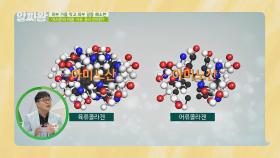 피부 미인의 단골 비결👸 어류 콜라겐이란? | JTBC 210916 방송