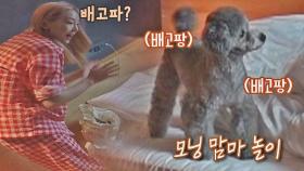 제로 배고파~? 모닝 맘마 놀이하는 태연&제로❤️ | JTBC 210916 방송