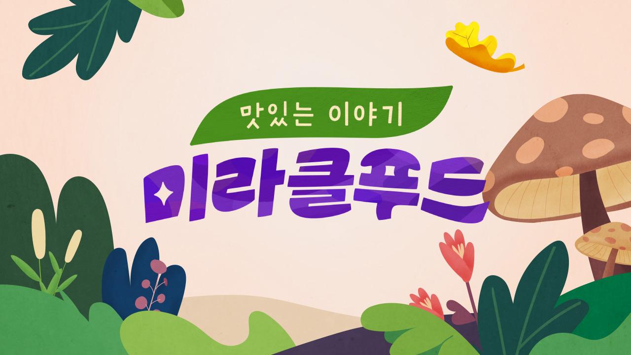 맛있는 이야기 미라클 푸드 : TV줌