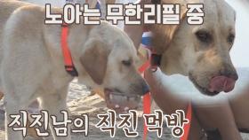 멍취저격🐶 시원한 팥빙수에 바로 직진하는 노아 먹방⸜(*ˊᗜˋ*)⸝ | JTBC 210923 방송