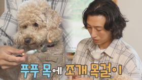 정성 가득💞 푸푸를 위한 단 하나뿐인 조개 목걸이(୨୧ •͈ᴗ•͈) | JTBC 210930 방송