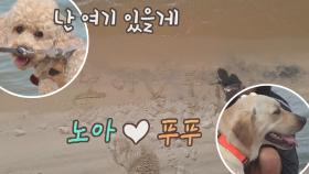 우리 우정 영원히.. 노아♥푸푸를 위한 모래 글씨♪(๑ᴖ◡ᴖ๑)♪ | JTBC 210930 방송