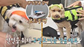 반려견과 럭셔리~ 요트투어✨ ※구명조끼 착용은 필수!! | JTBC 211011 방송