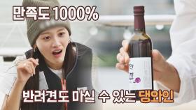 강아지도 와인을?! 반려견과 함께 즐길 수 있는 댕와인🍷 | JTBC 211011 방송