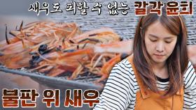 음식도 예외 없다↗ 칼각 윤희 앞에 일렬횡대로 선 새우들🦐 | JTBC 211013 방송