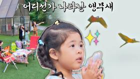 우와( ö )/ 하늘을 나는 앵무새🦜에 모두가 깜짝! | JTBC 211013 방송