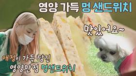 애정 듬뿍❣️ 태연이 준비한 영양만점 '멍 샌드위치🥪' | JTBC 211018 방송