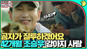 유기견 센터 봉사 중 만난 저녁이🐶 집사 짬바 드러나는 조승우 강아지 케미 모음｜라이프｜JTBC 180813 방송 외