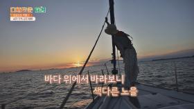 힐링 타임❣️ 바다 위에서 즐기는 낭만 가득 요트 체험⛵ | JTBC 211021 방송