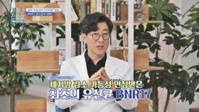 (체지방 감소↓) 섭취 시 체중 감량에 도움이 되는 'BNR17 유산균' | JTBC 211025 방송