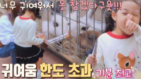귀여움 한도 초과↗️ 꼬마 사육사 로아의 먹이주기 | JTBC 211103 방송