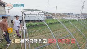 무심한 듯 시크하게😏 상상도 못 한 신성x한강의 농사 체험💚 | JTBC 211117 방송
