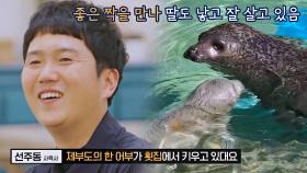 한 어부의 횟집에서 키우다 동물원에 데려온 제부도😊 | JTBC 220121 방송