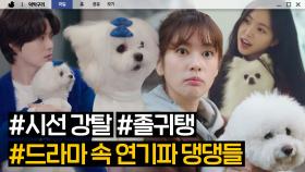 귀여워.. 귀엽고 사랑해... 씬스틸러 댕댕이들🐶ㅣ인간실격ㅣ211003 방송 외