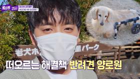 초고령 사회로 진입한 일본의 반려동물 복지책👉반려견 양로원 | JTBC 220323 방송