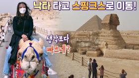 Only 이집트에서만! 낙타 타고 눈에 담는 피라미드&스핑크스 (ft. 호객꾼😂) | JTBC 220406 방송