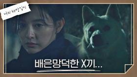 늦은 밤 김지원을 위협하는 들개... 하지만 그녀는 개 쫓기 경력직^^💪 | JTBC 220521 방송
