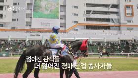 한국 경마의 성장 가능성 ☞ 젊어진 관객들과 더 젊어진 경마 산업 종사자들 | JTBC 220522 방송