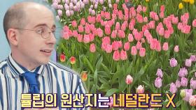 '세계 최대 꽃 축제' 네덜란드의 쾨켄호프🌹 그런데 원산지가 아니라고😲?! | JTBC 220427 방송