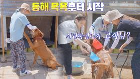 무릉도원이세요?(~‾⌣‾)~ 순둥이 동해 목욕시키는 태연&써니&수영 | JTBC 220712 방송