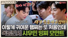 BRAND NEW로 엑소엘 마음 저격하는 특등 사수 시우민🐹｜JTBC 210412 방송