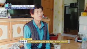 위암 4기를 이겨낸 76세 최고령 해녀의 항산화 비법! | JTBC 221216 방송