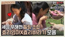 힐링버튼ON💚 세상 무해한 이효리와 강아지&고양이 모먼트 모음🐾｜효리네민박｜JTBC 180408 방송 외