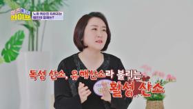 우리 몸속 내부의 적! 노화의 주범이 되는 활성 산소 과잉?! | JTBC 230208 방송