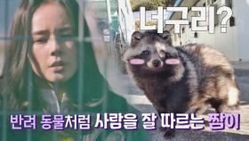 [선공개] 센터를 지키는 터줏대감!✨ 야생 동물과는 많이 멀어진 짬이의 모습💦 | 〈손 없는 날〉 2/21(화) 밤 10시 30분 방송!