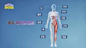 머리부터 발끝까지 있는 몸의 기둥 '콜라겐'✨ | JTBC 230308 방송