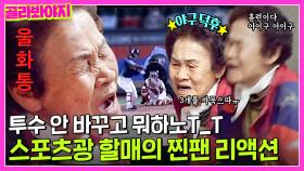 💥KBO 보다가 울화통 터져버린 스포츠광 할머니의 찐팬 리액션💥 | 와썹K-할매 | JTBC 210518 방송