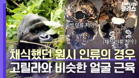 채식 인류 치아가 더 크다?!🦷 정수리 위까지 발달된 얼굴 근육🗣️ | JTBC 230528 방송