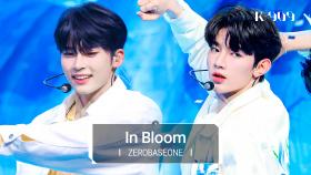 제로베이스원 (ZEROBASEONE) - In Bloom l @JTBC K-909 230715 방송