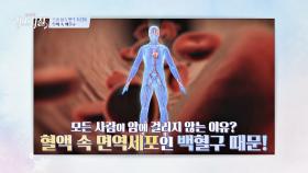 [면역의 키포인트] 백혈구가 무너지면 건강도 무너진다💥 | JTBC 240108 방송