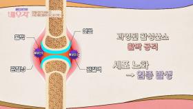관절을 공격하는 활성산소 '아스타잔틴'으로 제거하자↗↗ | JTBC 240123 방송