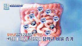 장내 유해균을 물리치고 체지방 감소를 도와주는 