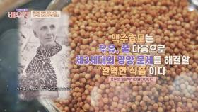 풍부한 영양! 풍부한 단백질! 완벽한 식품 맥주효모💥 | JTBC 240130 방송