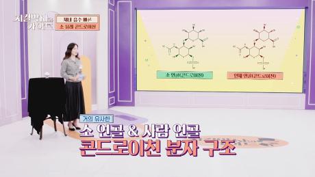 체내 흡수 빠른 '소 유래 콘드로이친'으로 관절 건강 지키자↗ | JTBC 240303 방송