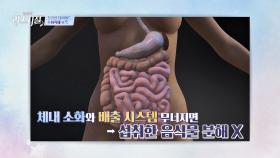 매번 다이어트에 실패하는 이유? '약해진 소화력' 때문! | JTBC 240304 방송