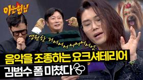 '퀴즈가 너무 감미로워요...' 요크셔테리어 김범수, 음악 퀴즈를 조종 중(?) | JTBC 240309 방송