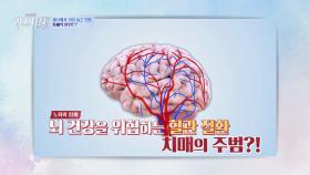 「혈관 질환」을 겪을수록 「치매 발병률」이 높아진다?! | JTBC 240311 방송