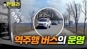 역주행 버스 앞에 나타난 차량들, 무개념 고속버스의 운명은? | JTBC 240319 방송