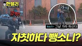 자칫하다 뺑소니?! 한블리가 알려주는 올바른 사고 후 대처법👍 | JTBC 240319 방송