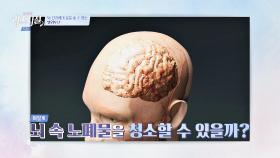 잠이 들면 뇌를 씻어주는 '멜라토닌'😴 | JTBC 240325 방송